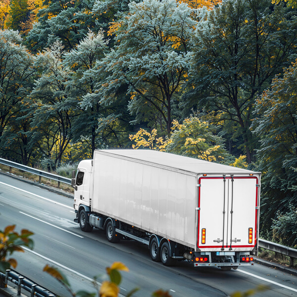 Environmental Policy